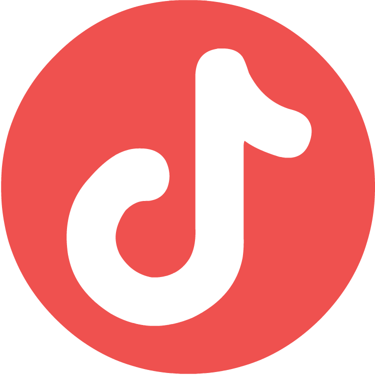 TikTok Icon