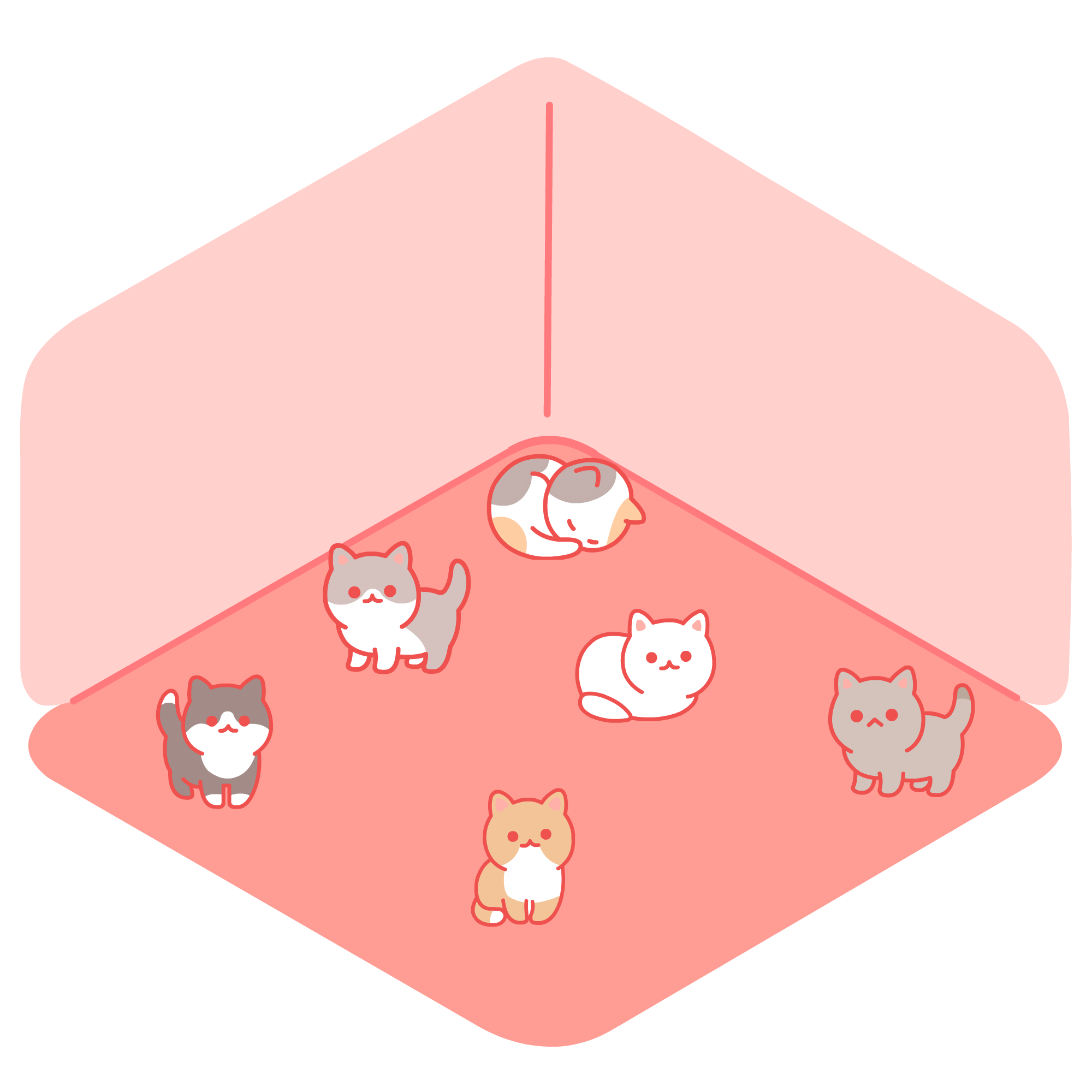 gatitos en una habitación